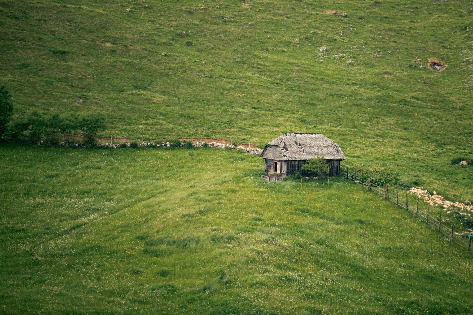 The Barn Vila Şirnea Exterior foto