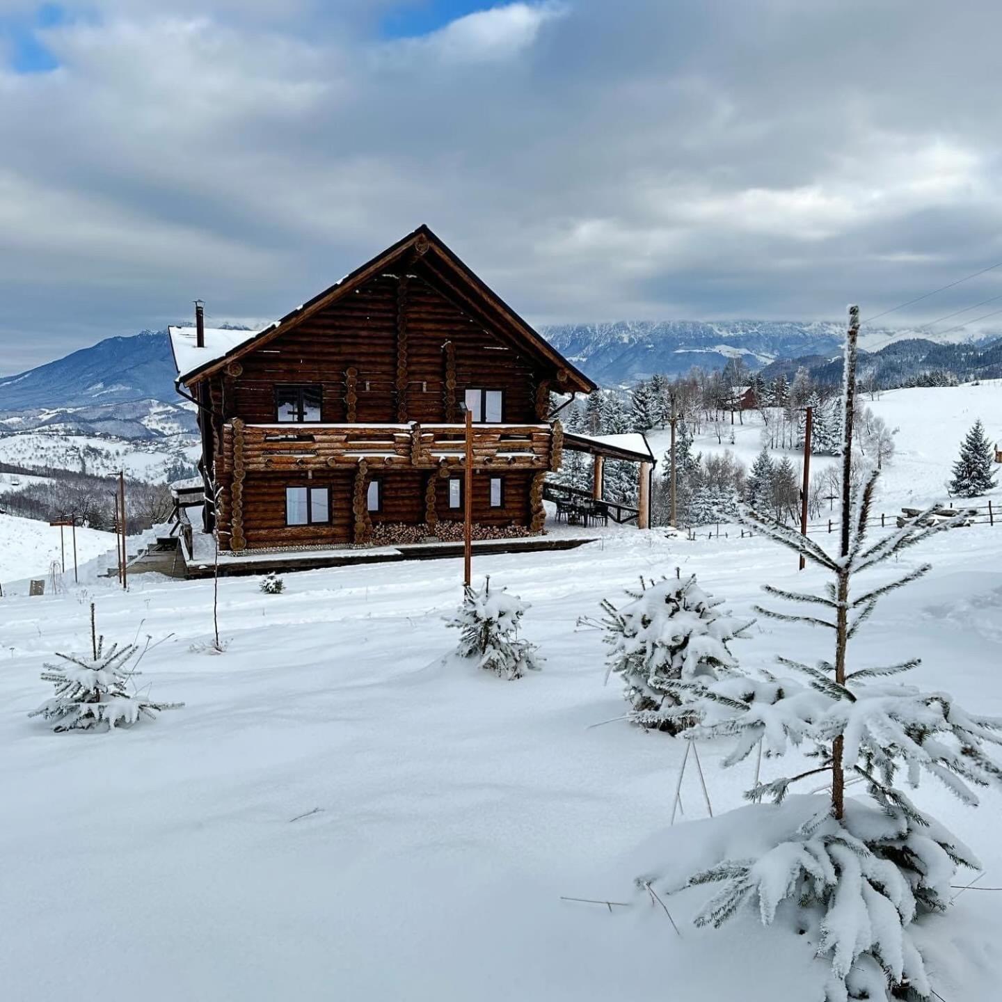 The Barn Vila Şirnea Exterior foto